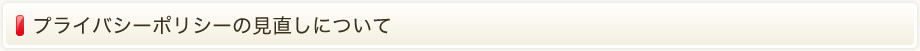 プライバシーポリシーの見直しについて