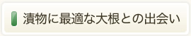 漬物に最適な大根との出会い